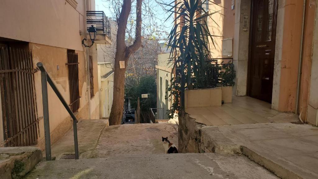 Athens City Center Luxury Suites 外观 照片
